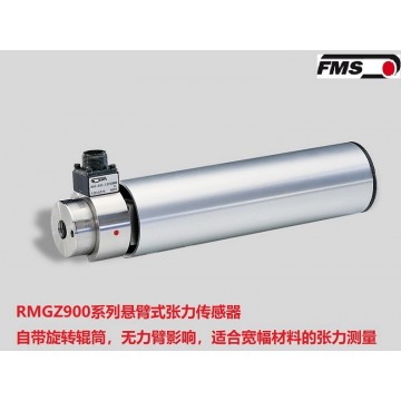 瑞士FMS懸臂張力傳感器RMGZ900 中國